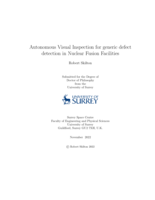 Autonomous Visual Inspection for generic defect detection in Nuclear Fusion Facilities