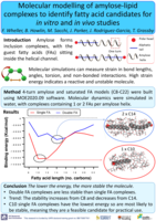 Molecular modelling of amylose-lipid complexes to identify fatty acid candidates for in vitro and in vivo studies