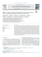 HMGB 1 acetylation mediates trichloroethylene-induced immune kidney injury by facilitating endothelial cell-podocyte communication