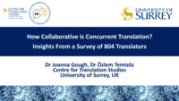 How Collaborative is Concurrent Translation? Insights From a Survey of 804 Translators