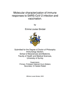 Molecular characterization of immune responses to SARS-CoV-2 infection and vaccination