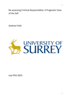 Re-assessing Criminal Responsibility: A Pragmatic View of the Self