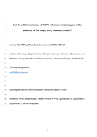 Cell-to-cell transmission of HSV1 in human keratinocytes in the absence of the major entry receptor, nectin1