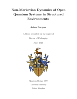 Non-Markovian Dynamics of Open Quantum Systems in Structured Environments