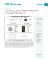 Comparing Circadian Rhythmicity in the Human Gut Microbiome