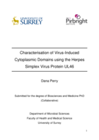Characterisation of Virus-Induced Cytoplasmic Domains using the Herpes Simplex Virus Protein UL46