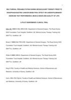 Multimodal Prehabilitation During Neoadjuvant Therapy Prior to Esophagogastric Cancer Resection: Effect on Cardiopulmonary Exercise Test Performance, Muscle Mass and Quality of Life A Pilot Randomized Clinical Trial