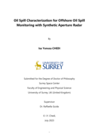 Oil Spill Characterization for Offshore Oil Spill Monitoring with Synthetic Aperture Radar