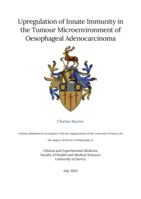 Upregulation of Innate Immunity in the Tumour Microenvironment of Oesophageal Adenocarcinoma