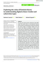 Exploring the value of feminist theory in understanding digital crimes: Gender and cybercrime types