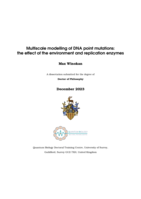 Multiscale modelling of DNA point mutations: the effect of the environment and replication enzymes