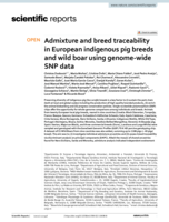 Admixture and breed traceability in European indigenous pig breeds and wild boar using genome-wide SNP data
