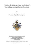 Vaccine development and genomics of the soil-transmitted helminth Ascaris