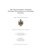The Macroeconomics of Foreign Exchange Intervention in an Emerging Economy