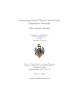 Generating Virtual Camera Views Using Generative Networks