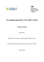 Investigating Hepatitis E Virus (HEV) in Pigs