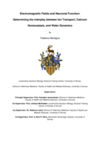 Electromagnetic Fields and Neuronal Function: Determining the interplay between Ion Transport, Calcium Homeostasis, and Water Dynamics