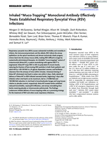 Inhaled "Muco-Trapping" Monoclonal Antibody Effectively Treats Established Respiratory Syncytial Virus (RSV) Infections