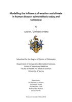 Modelling the influence of weather and climate in human disease: salmonellosis today and tomorrow