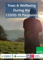 Trees and Wellbeing During The Covid-19 Pandemic (Research Report No. 2)