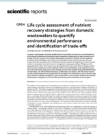 Life cycle assessment of nutrient recovery strategies from domestic wastewaters to quantify environmental performance and identification of trade?offs