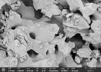 Data for Exsolved Cu-ZnO Interfaces for Methanol Production from CO2 at atmospheric pressure