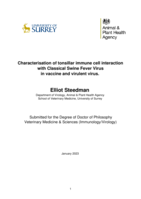 Characterisation of tonsillar immune cell interaction with Classical Swine Fever Virus  in vaccine and virulent virus