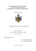 Spatial Navigation and Negative Emotions:  The Effect of Emotion Processing  on Wayfinding  and Visuospatial Working Memory