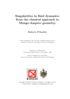 Singularities in fluid dynamics: from the classical approach to Monge-Ampere geometry