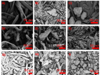 Data for Textile microfibers valorization by catalytic hydrothermal carbonization towards high-tech carbonaceous materials
