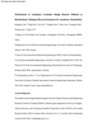 Mechanisms of anammox granular sludge reactor effluent as biostimulant: Shaping microenvironment for anammox metabolism