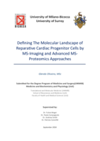 Defining The Molecular Landscape of Reparative Cardiac Progenitor Cells by MS-Imaging and Advanced MS-Proteomics Approaches