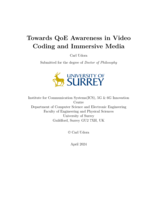 Towards QoE Awareness in Video Coding and Immersive Media