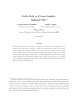 Public debt as private liquidity: optimal policy