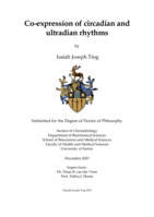 Co-expression of circadian and ultradian rhythms