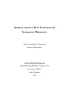 Quantum Aspects of DNA Replication and Spontaneous Mutagenesis