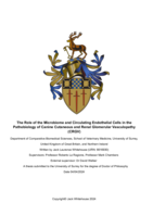 The Role of the Microbiome and Circulating Endothelial Cells in the Pathobiology of Canine Cutaneous and Renal Glomerular Vasculopathy (CRGV)