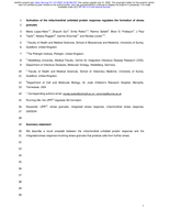 Activation of the mitochondrial unfolded protein response regulates the dynamic formation of stress granules