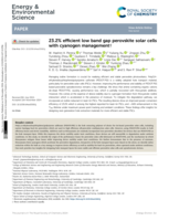 23.2% efficient low band gap perovskite solar cells with cyanogen management