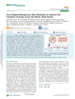 Virus-Shaped Mesoporous Silica Nanostars to Improve the Transport of Drugs across the Blood–Brain Barrier