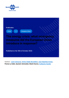 The energy crisis: what emergency measures did the European Union introduce in response?