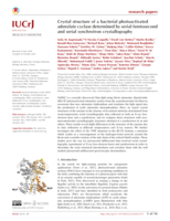 Crystal structure of a bacterial photoactivated adenylate cyclase determined by serial femtosecond and serial synchrotron crystallography