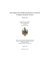 Self-Supervised 3D Reconstruction in General Complex Dynamic Scenes