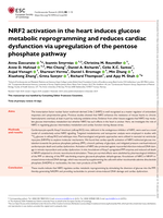 NRF2 activation in the heart induces glucose metabolic reprogramming and reduces cardiac dysfunction via upregulation of the pentose phosphate pathway