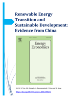 Renewable Energy Transition and Sustainable Development: Evidence from China