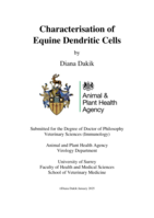 Characterisation of Equine Dendritic Cells