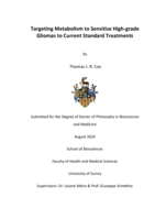 Targeting Metabolism to Sensitise High-grade Gliomas to Current Standard Treatments