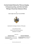 Contaminated Networks: Mercury Supply, Entrepreneurship, and Informal Gold Mining in Rural Sub-Saharan Africa