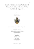 Cognitive, Affective, and Neural Mechanisms of Rumination in Early Adulthood and Work: A Multimethod Approach